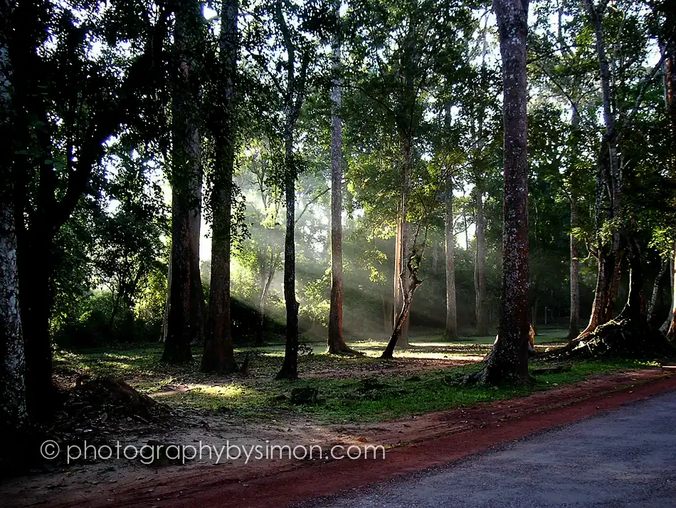 Angkor Wat Sunlight Exlcusive travel print