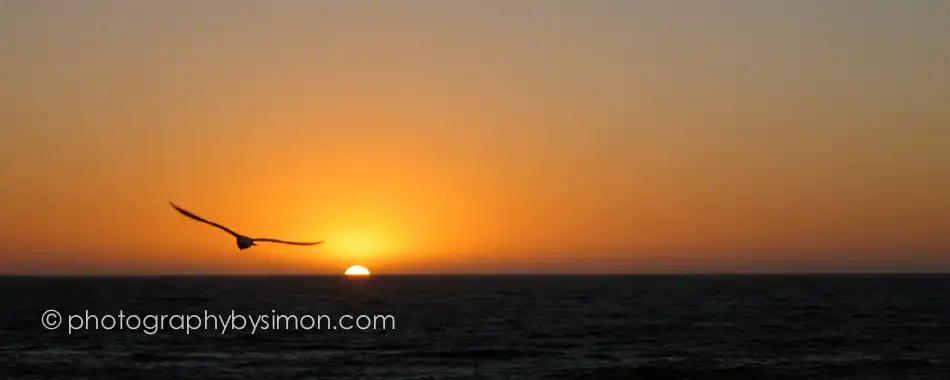 Cottesloe Beach Sunset Exlcusive travel print